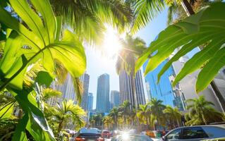 Giant ferns thrive amidst towering skyscrapers in a vibrant urban setting under bright sunlight photo