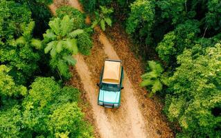 Small off-road vehicle with rooftop tent parked on a forest trail during daytime in a lush green environment photo