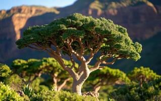 Majestic grove of tree-like formations set against a stunning backdrop of mountains and clear blue skies at golden hour photo