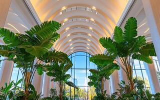 Giant ferns thrive in a modern urban environment with sunlight streaming through large windows photo