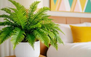 Giant ferns add a cozy touch to a modern bedroom decor with soft lighting and vibrant accents photo