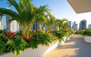 Sustainable rooftop garden flourishing with greenery in an urban setting under clear blue sky photo