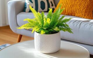 Ancient fern plant in decorative pot brightens up a modern living space with vibrant greenery photo