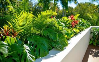 Modern rooftop garden showcasing lush greenery and vibrant plants in a sunny urban setting photo