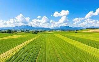 Farmland featuring vibrant patchwork fields under a clear blue sky with rolling mountains in the background photo