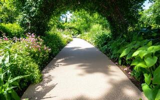 Pathway surrounded by lush wild plants and creeping vines creates a serene retreat in a vibrant garden photo
