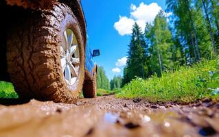 Off-road tires create muddy tracks on a dirt road surrounded by lush greenery under a bright blue sky photo
