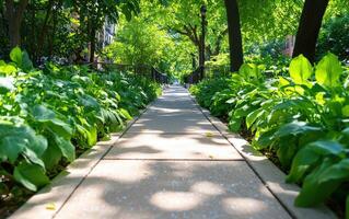 Pathway adorned with wild plants and creeping vines in a lush urban environment during daylight hours photo