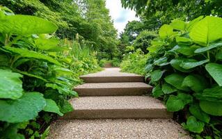 Untamed greens welcome visitors to a wild garden pathway surrounded by lush foliage and vibrant growth photo