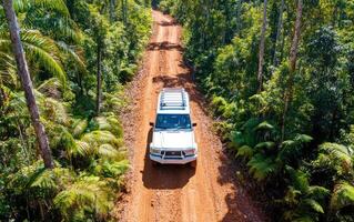 Off-roading adventure through a dense forest trail on a sunny day surrounded by lush greenery photo