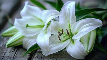 Elegant white lilies blooming on rustic wooden surface photo
