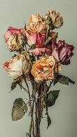 Dried and withered roses bouquet on a light green background photo