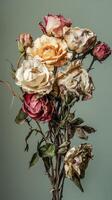 Dried bouquet of roses on a soft green background photo