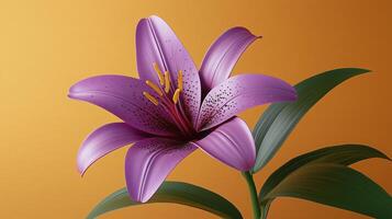 Vibrant purple lily flower against an orange background photo