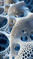 Close-up of intricate white coral structure with detailed holes and patterns photo