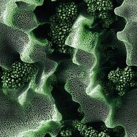 Abstract green organic textures with cellular patterns and fluid shapes photo