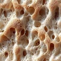 Detailed macro close-up of textured porous surface with bubbles and irregular patterns photo