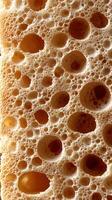 Close-up view of natural foam structure with air bubbles and honeycomb texture photo