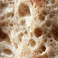Close-up texture of natural loofah with irregular holes and pores photo