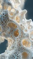 Close-up of intricate white foam structure with bubbles and voids photo