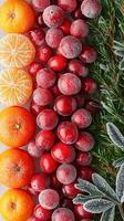 Frozen oranges, cranberries, and evergreens arranged in a beautiful seasonal display photo