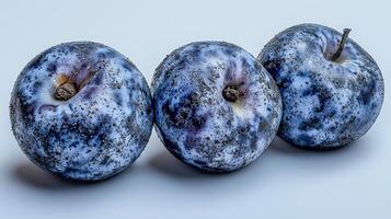 Three fresh blue plums with unique texture and color on a light background photo