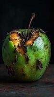 Rotten green apple infested with insects and damage showing decay and deterioration photo