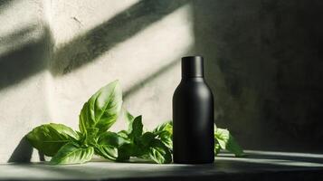 Minimalist black bottle with fresh basil leaves in sunlit space photo