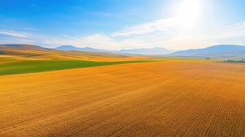 Aerial view of expansive golden wheat field under bright sunlight in countryside photo