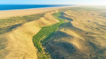 Aerial view of vast desert landscape with coastal horizon and green oasis photo