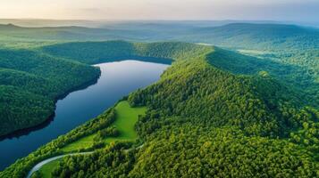 Scenic aerial view of verdant forests and serene lake at sunrise photo