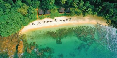 Aerial view of tropical beach with palm trees and turquoise ocean waters photo