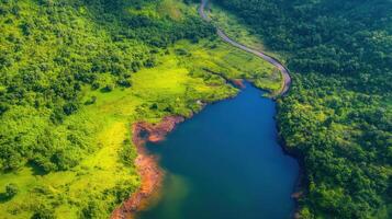 Aerial view of lush greenery and blue lake with winding road in nature landscape photo