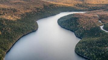 Aerial landscape view of serpentine river surrounded by dense forest in autumn season photo