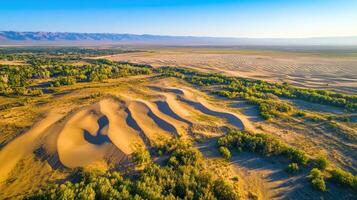 Aerial view of expansive sand dunes and lush greenery in a desert landscape photo