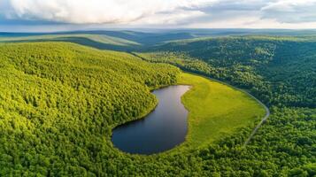 Aerial view of serene forest lake amid dense greenery with curved shore path photo