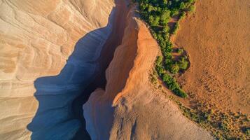 Aerial view of eroded canyon and desert landscape with vegetation pattern photo
