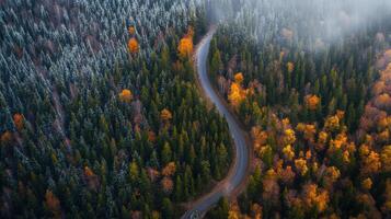 Aerial view of serpentine road through snow-dusted autumn forest with vibrant foliage contrast photo