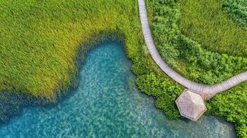 Aerial view of scenic wooden pathway by blue lake and lush green vegetation photo