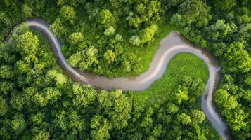 Aerial view of winding river flowing through lush green forest landscape photo