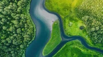 Aerial view of meandering river and lush green forest landscape photo