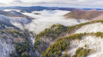 Aerial view of misty mountain range with snow-covered forest photo