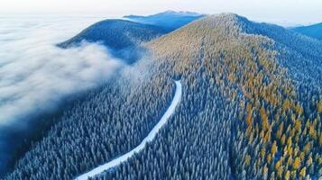 Aerial view of vast snow-covered forest and scenic mountain range landscape photo