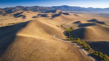 Aerial view of rolling desert hills with tree-lined pathway in vast landscape photo