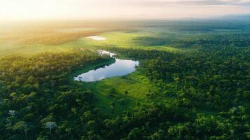 Aerial view of lush green forest with reflective water bodies at sunrise photo