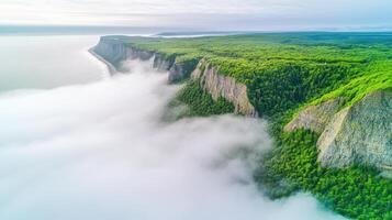 Aerial view of foggy coastal cliffs and dense green forest landscape photo