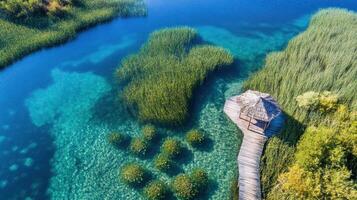 Aerial view of wooden pier extending into vibrant lake surrounded by reed beds photo