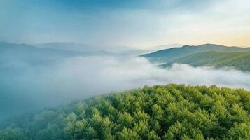 Panoramic view of misty forested mountains under clear blue sky at dawn photo