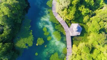 Aerial view of a wooden pathway overlooking a serene green lake with lush vegetation photo