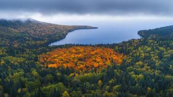 Breathtaking autumn forest with vibrant foliage surrounding serene lake view photo